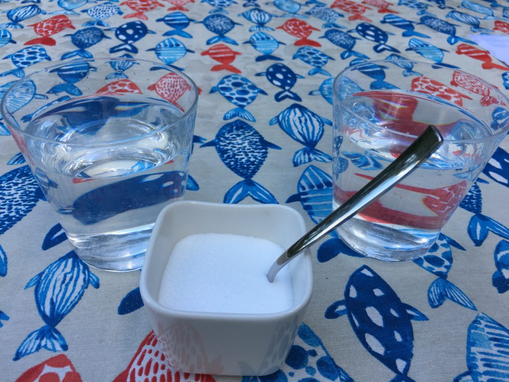 Wie schmeckt Salz?